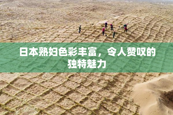 日本熟妇色彩丰富，令人赞叹的独特魅力