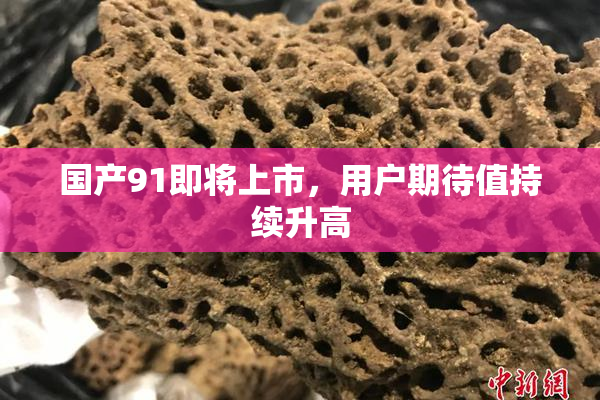国产91即将上市，用户期待值持续升高
