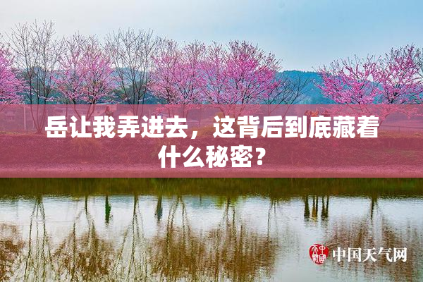 岳让我弄进去，这背后到底藏着什么秘密？