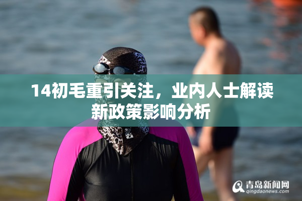 14初毛重引关注，业内人士解读新政策影响分析