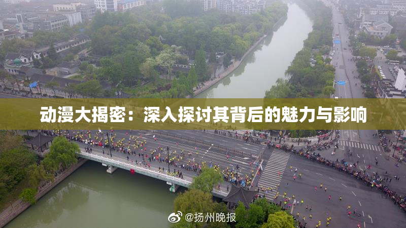 动漫大揭密：深入探讨其背后的魅力与影响