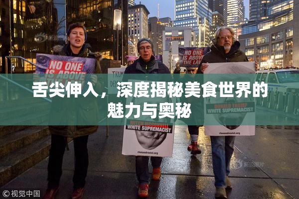 舌尖伸入，深度揭秘美食世界的魅力与奥秘