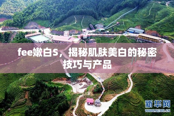 fee嫩白S，揭秘肌肤美白的秘密技巧与产品