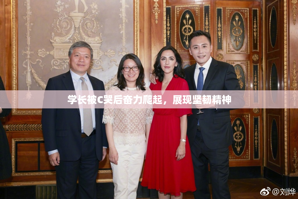学长被C哭后奋力爬起，展现坚韧精神