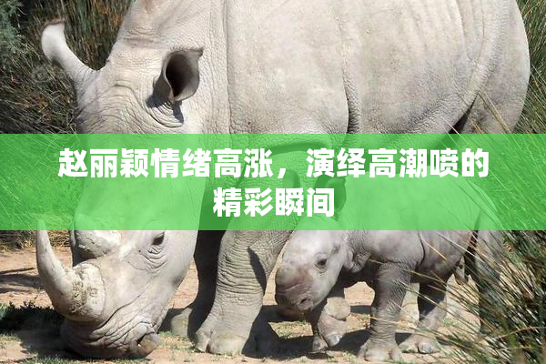 赵丽颖情绪高涨，演绎高潮喷的精彩瞬间