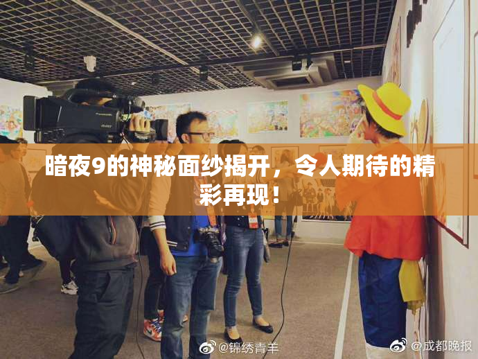 暗夜9的神秘面纱揭开，令人期待的精彩再现！