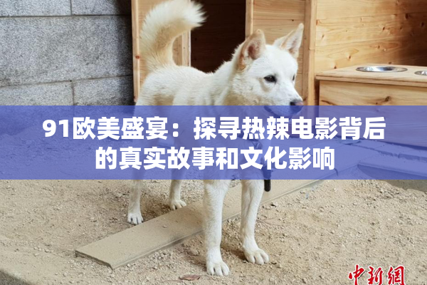 91欧美盛宴：探寻热辣电影背后的真实故事和文化影响