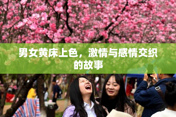 男女黄床上色，激情与感情交织的故事
