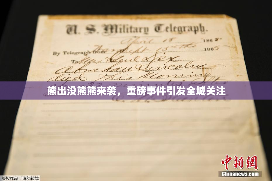熊出没熊熊来袭，重磅事件引发全城关注