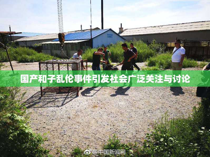 国产和子乱伦事件引发社会广泛关注与讨论