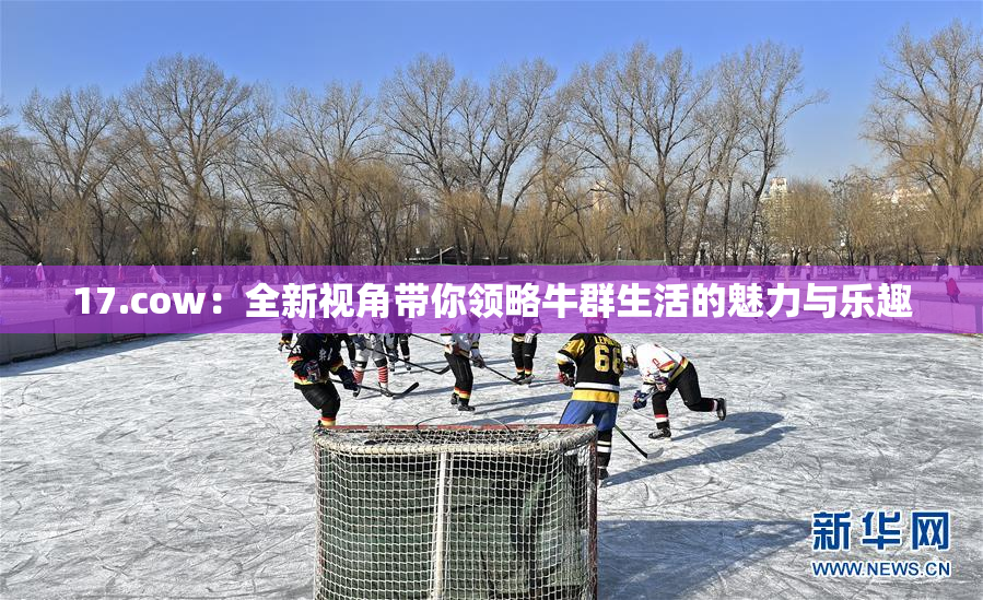 17.cow：全新视角带你领略牛群生活的魅力与乐趣