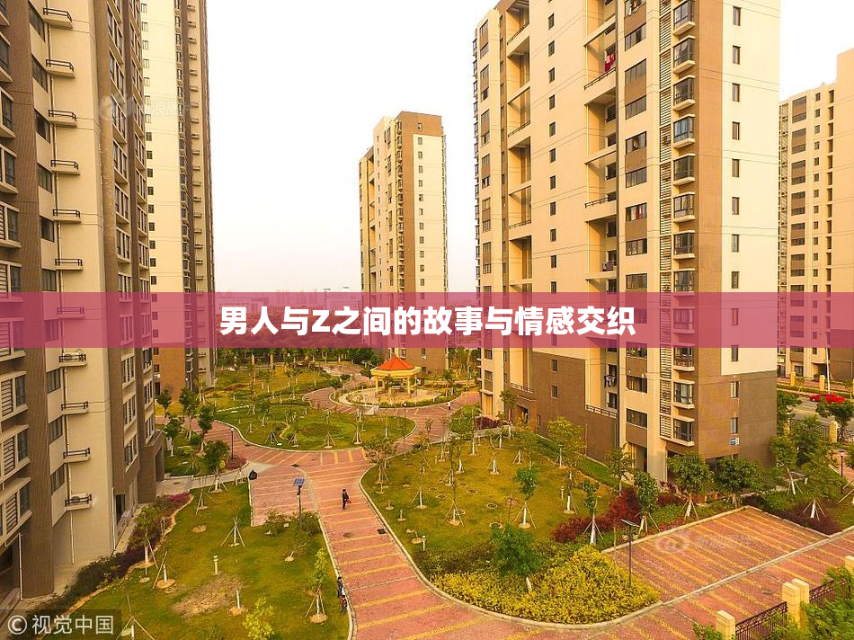 男人与Z之间的故事与情感交织