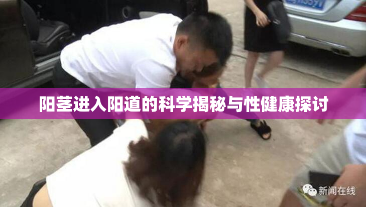 阳茎进入阳道的科学揭秘与性健康探讨