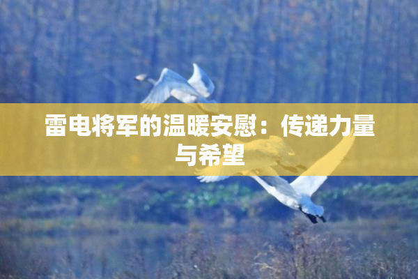 雷电将军的温暖安慰：传递力量与希望