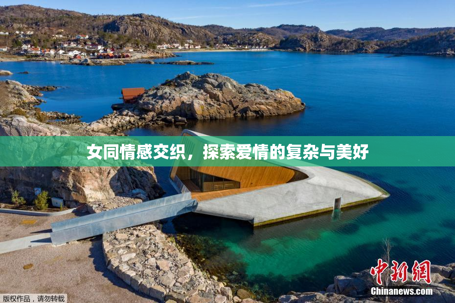 女同情感交织，探索爱情的复杂与美好