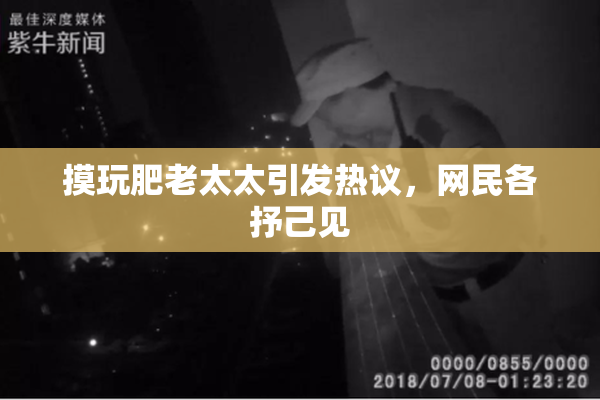 摸玩肥老太太引发热议，网民各抒己见