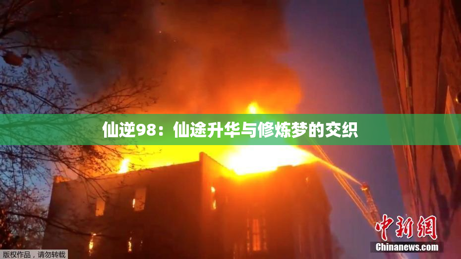 仙逆98：仙途升华与修炼梦的交织