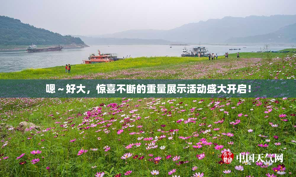 嗯～好大，惊喜不断的重量展示活动盛大开启！