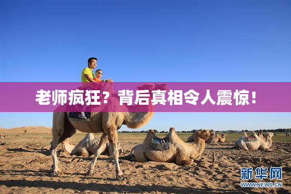老师疯狂？背后真相令人震惊！