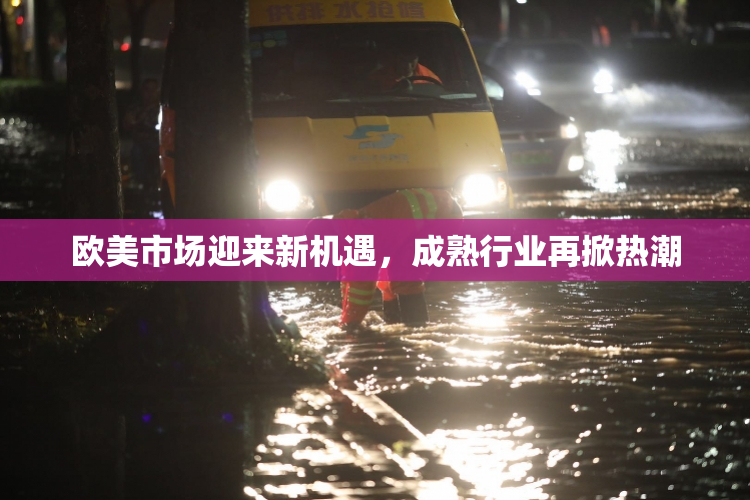 欧美市场迎来新机遇，成熟行业再掀热潮