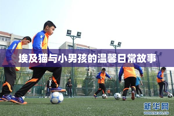 埃及猫与小男孩的温馨日常故事