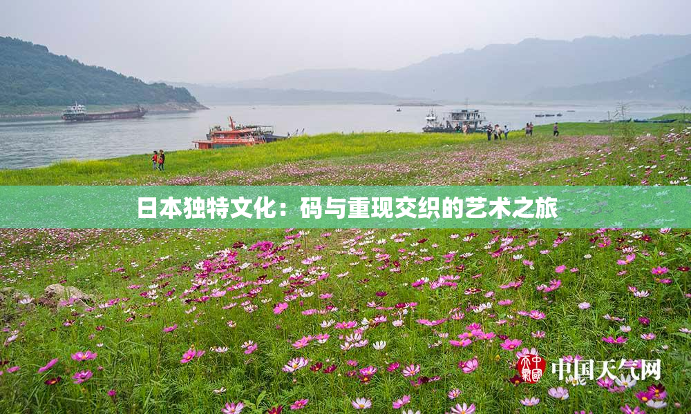 日本独特文化：码与重现交织的艺术之旅