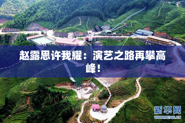 赵露思许我耀：演艺之路再攀高峰！