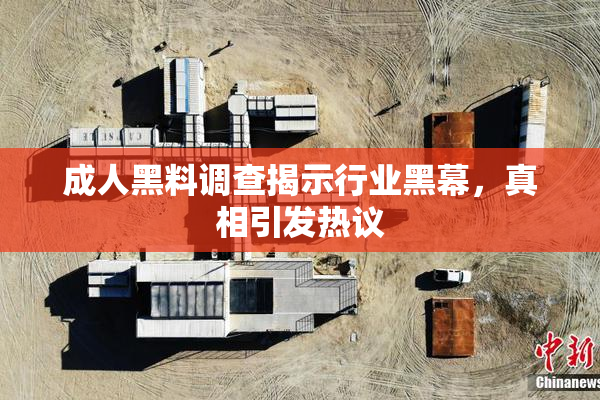 成人黑料调查揭示行业黑幕，真相引发热议