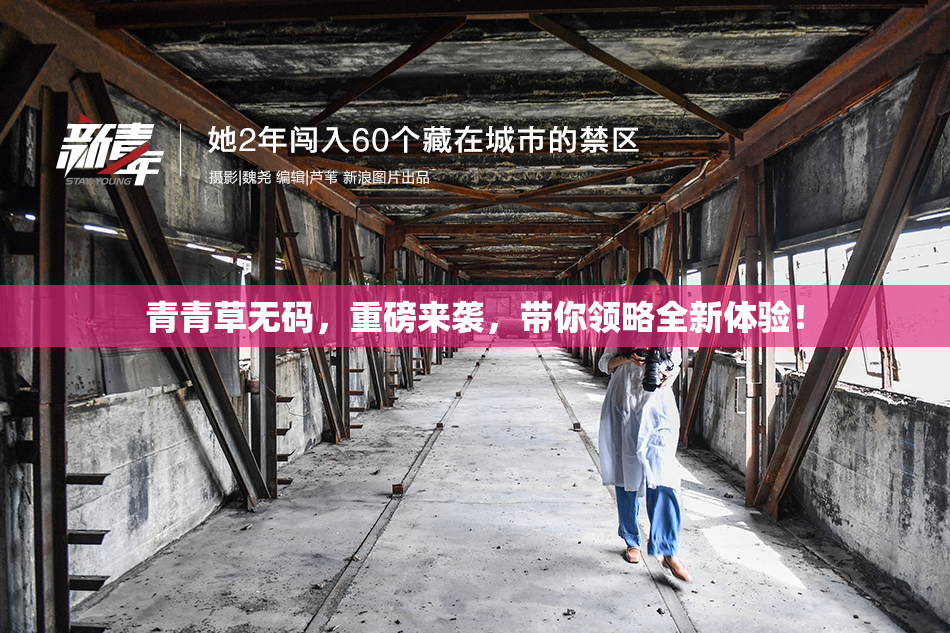 青青草无码，重磅来袭，带你领略全新体验！