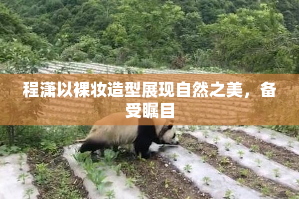 程潇以裸妆造型展现自然之美，备受瞩目