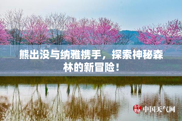 熊出没与纳雅携手，探索神秘森林的新冒险！