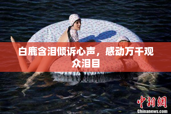 白鹿含泪倾诉心声，感动万千观众泪目