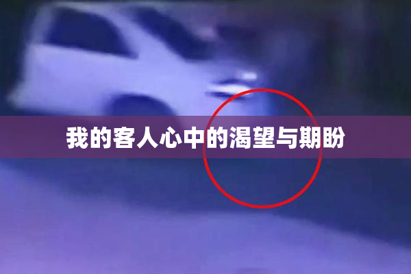 我的客人心中的渴望与期盼