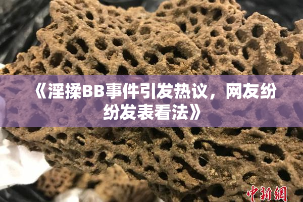 《淫揉BB事件引发热议，网友纷纷发表看法》