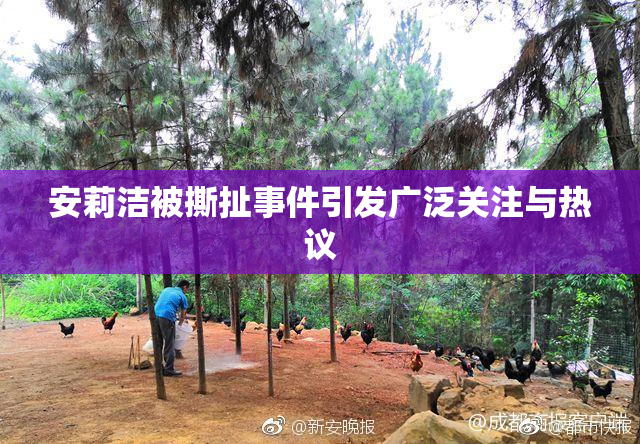 安莉洁被撕扯事件引发广泛关注与热议
