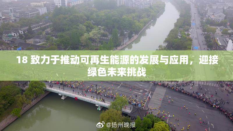 18 致力于推动可再生能源的发展与应用，迎接绿色未来挑战