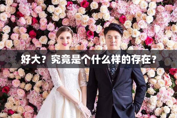 好大？究竟是个什么样的存在？