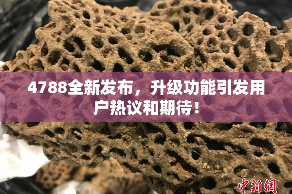 4788全新发布，升级功能引发用户热议和期待！
