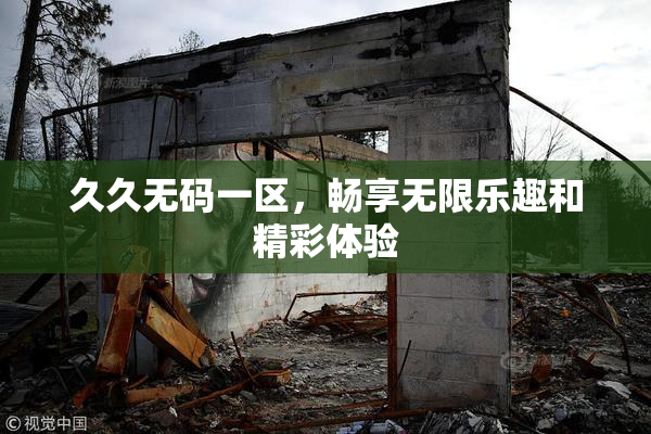 久久无码一区，畅享无限乐趣和精彩体验