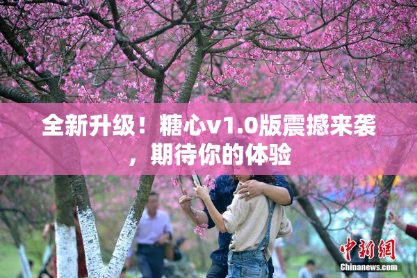 全新升级！糖心v1.0版震撼来袭，期待你的体验