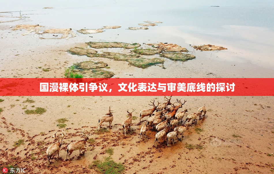 国漫裸体引争议，文化表达与审美底线的探讨