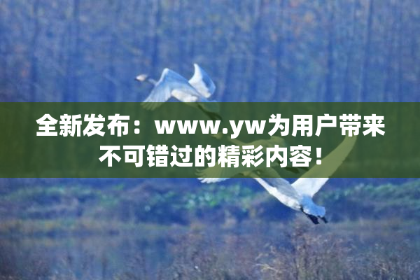全新发布：www.yw为用户带来不可错过的精彩内容！
