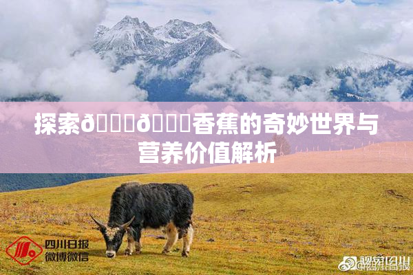 探索🔞🔞香蕉的奇妙世界与营养价值解析