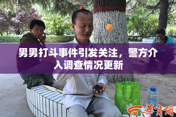 男男打斗事件引发关注，警方介入调查情况更新