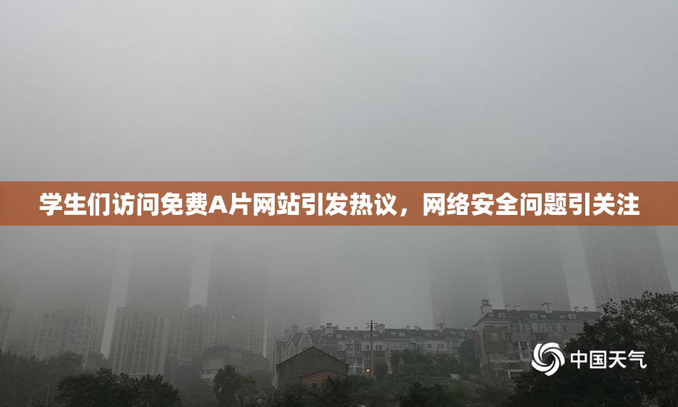 学生们访问免费A片网站引发热议，网络安全问题引关注