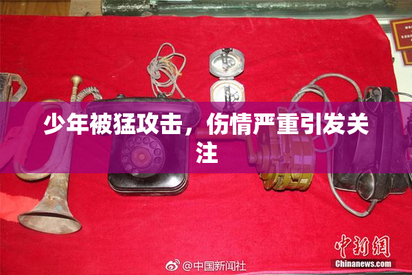 少年被猛攻击，伤情严重引发关注