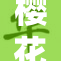 樱花下的校园爱情与酒香共舞