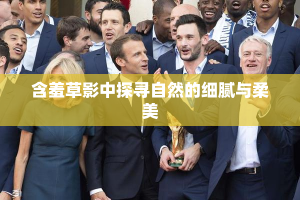 含羞草影中探寻自然的细腻与柔美