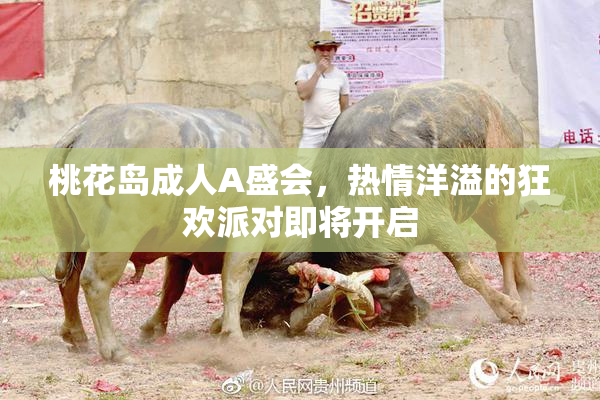 桃花岛成人A盛会，热情洋溢的狂欢派对即将开启