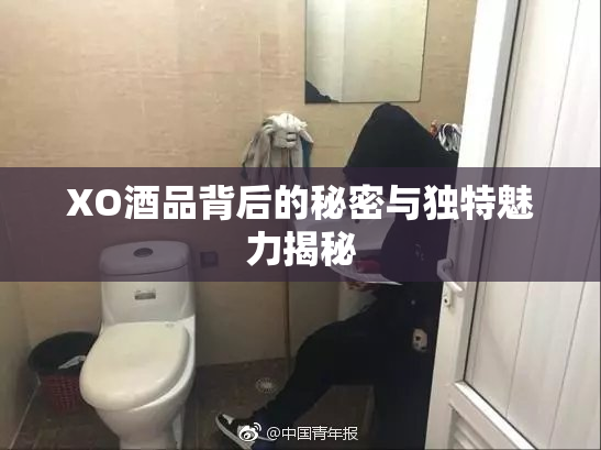 XO酒品背后的秘密与独特魅力揭秘